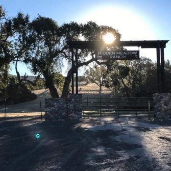 Horse ranch at sunrise with trees and sun rising behind the ranch
