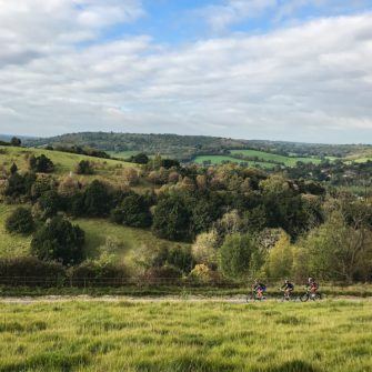 Spectacular views across grass and woodland on Box Hill in Surrey