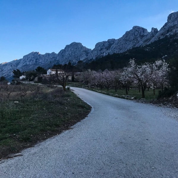 Summit of Port de Bernia with pink almond blossom