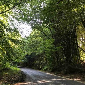 Coming around the corner on Rogate Hill
