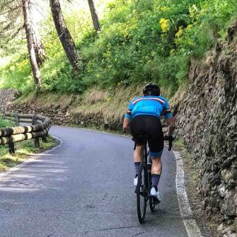 Cyclist cycling on narrow road through wooded section of Passo del Gavia climb