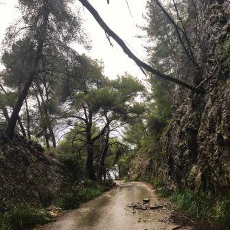 Rock falls on the road on La Victoria peninsula, on the Pollensa cycling route