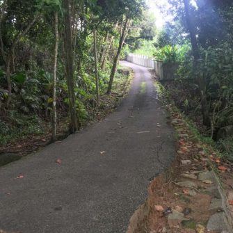 Narrow road in the Seychelles