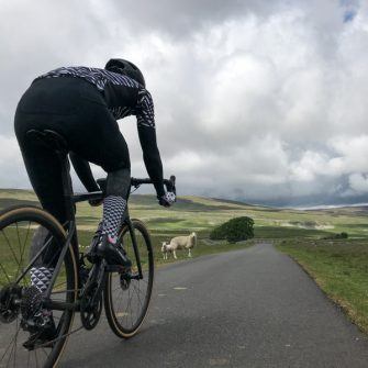 Cyclist on country road with sheep