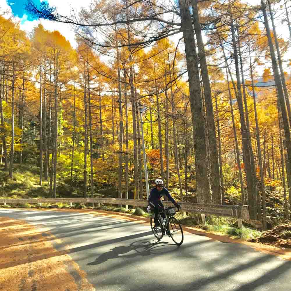 Cycling in Japan your ultimate guide (cycling routes, hotels, bike hire)!