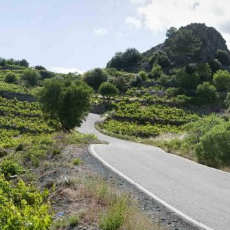 Cycling road through Cyprus
